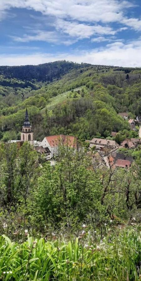 Gîte à Andlau Esterno foto